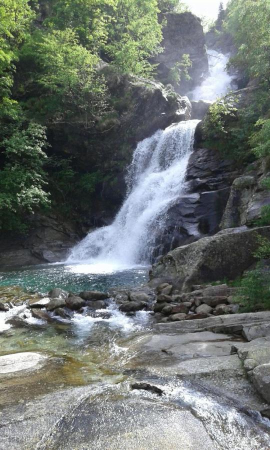 La Stella Delle Alpi Hotel Vico Canavese Luaran gambar